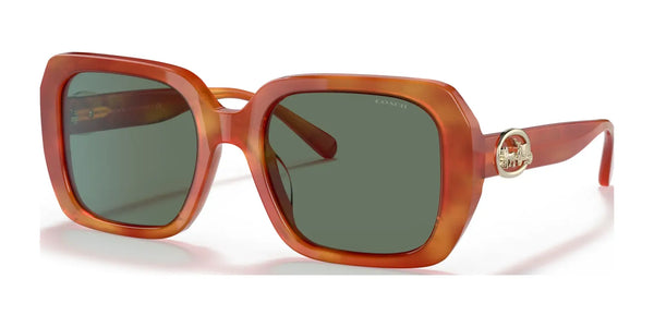 Coach C6188 HC8329U Sunglasses | Size 53 / Amber Tortoise/Coach Print / Dark Green Solid (3N 14.0%) №56603H