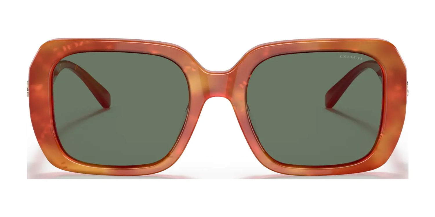Coach C6188 HC8329U Sunglasses | Size 53 Coach C6188 HC8329U Sunglasses | Size 53