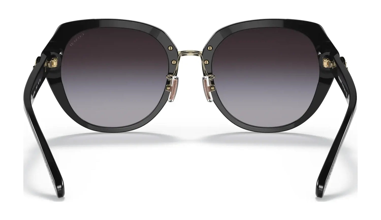 Coach C6189 HC8331 Sunglasses | Size 55 Coach C6189 HC8331 Sunglasses | Size 55