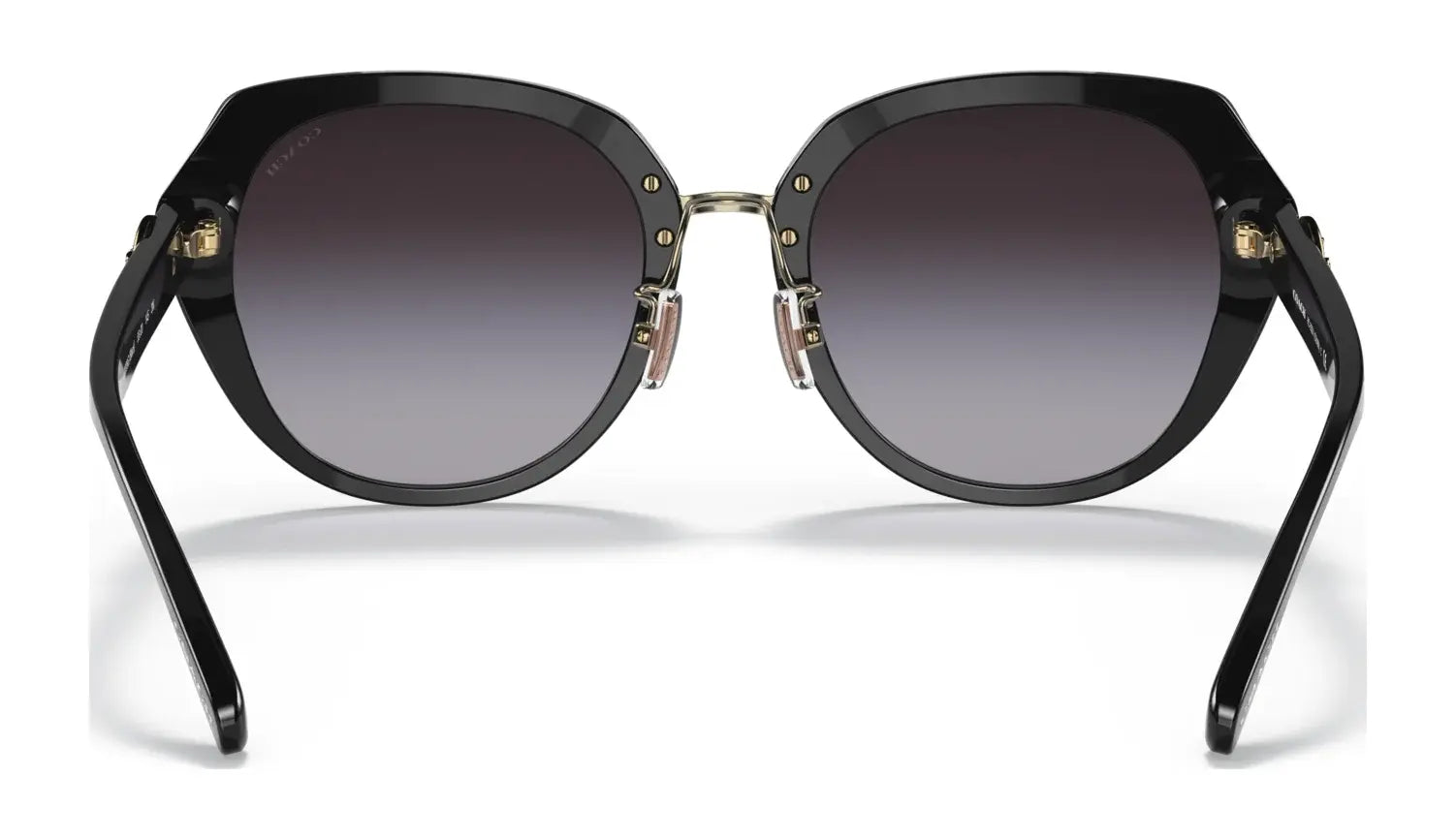 Coach C6189 HC8331 Sunglasses | Size 55 Coach C6189 HC8331 Sunglasses | Size 55