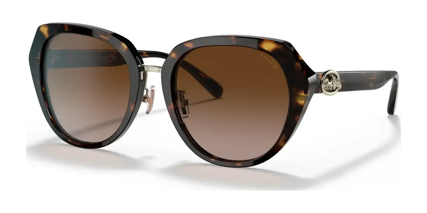 Coach C6189 HC8331 Sunglasses | Size 55 Coach C6189 HC8331 Sunglasses | Size 55