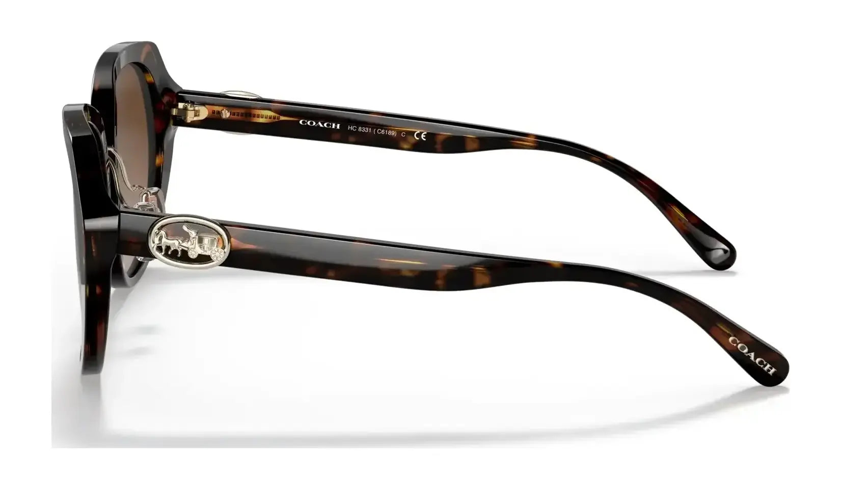 Coach C6189 HC8331 Sunglasses | Size 55 Coach C6189 HC8331 Sunglasses | Size 55