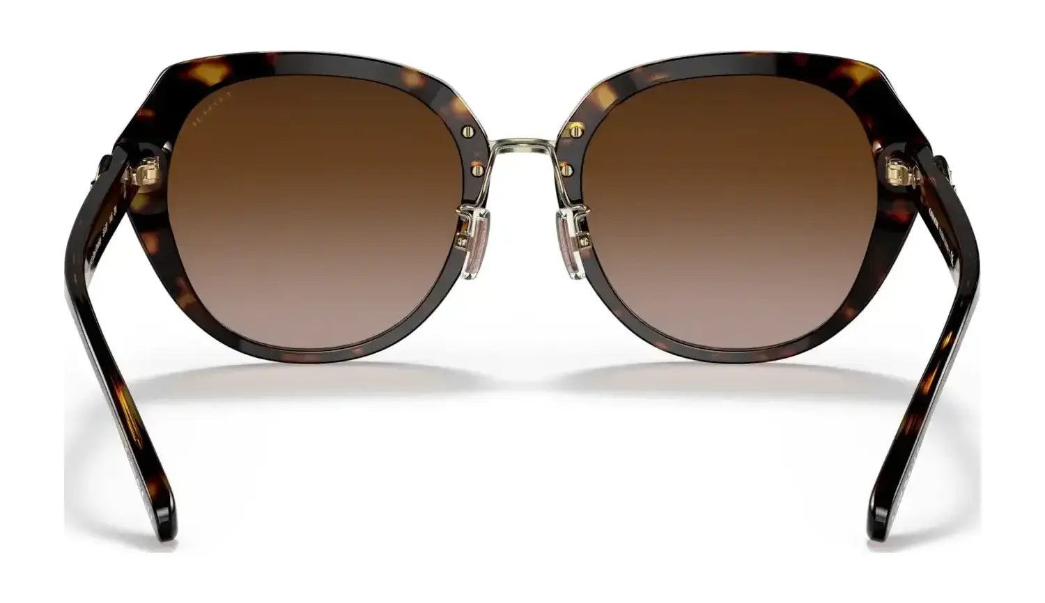 Coach C6189 HC8331 Sunglasses | Size 55 Coach C6189 HC8331 Sunglasses | Size 55