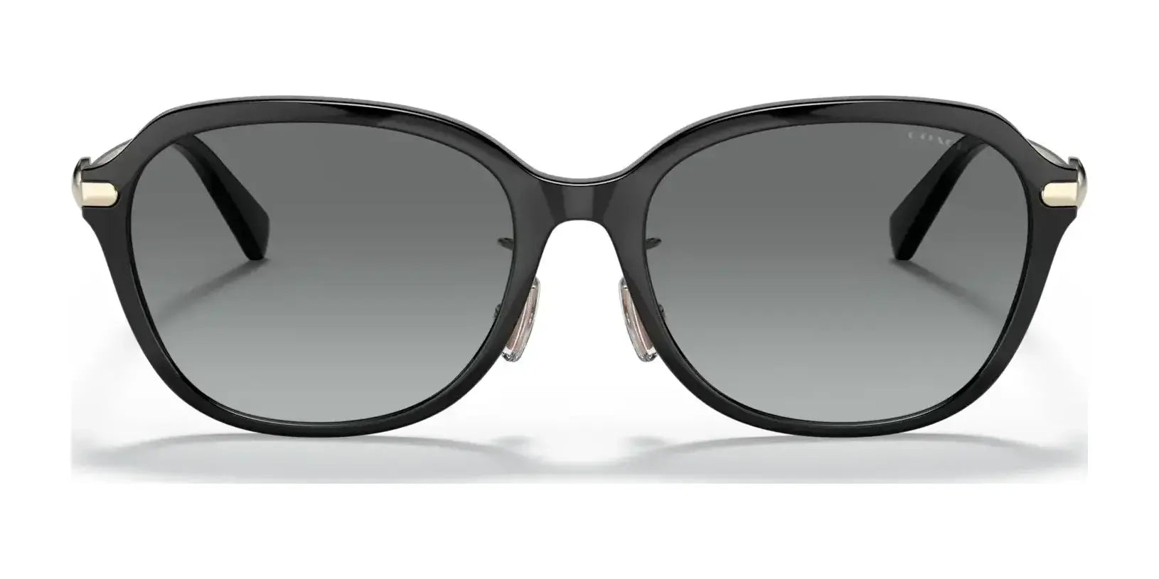 Coach C6199 HC8332D Sunglasses | Size 56 Coach C6199 HC8332D Sunglasses | Size 56