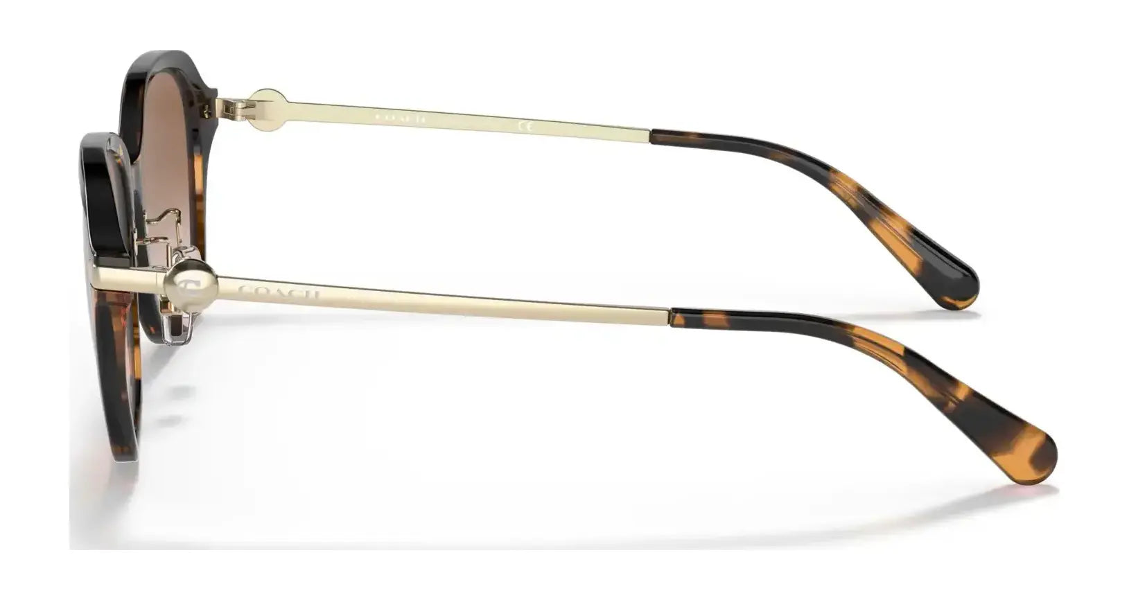 Coach C6199 HC8332D Sunglasses | Size 56 Coach C6199 HC8332D Sunglasses | Size 56