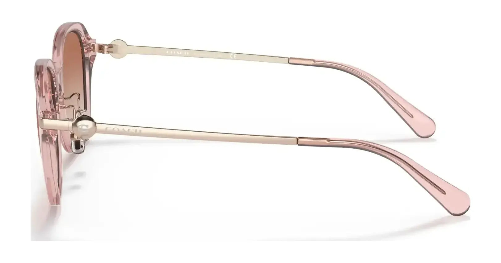 Coach C6199 HC8332D Sunglasses | Size 56 Coach C6199 HC8332D Sunglasses | Size 56