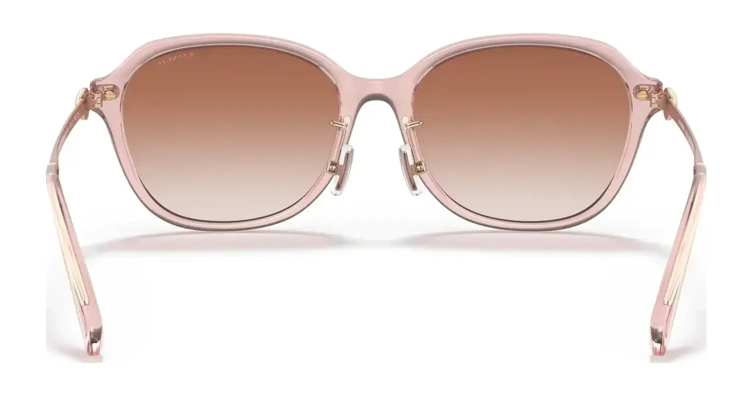 Coach C6199 HC8332D Sunglasses | Size 56 Coach C6199 HC8332D Sunglasses | Size 56