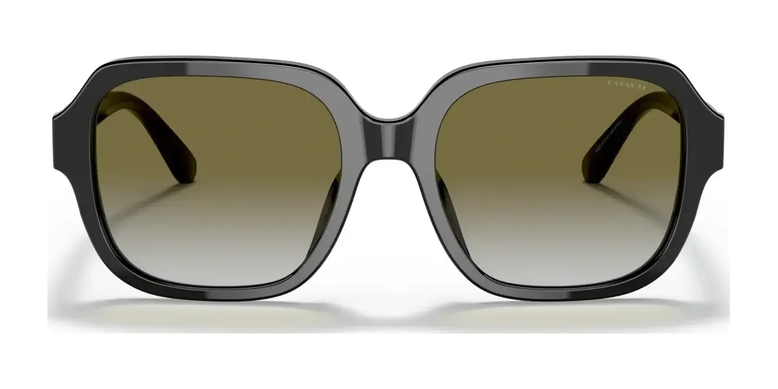 Coach C7989 HC8335U Sunglasses | Size 53 Coach C7989 HC8335U Sunglasses | Size 53