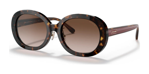 Coach C7991 HC8337F Sunglasses | Size 55 / Dark Tortoise / Brown Gradient (3N 16%) №512013