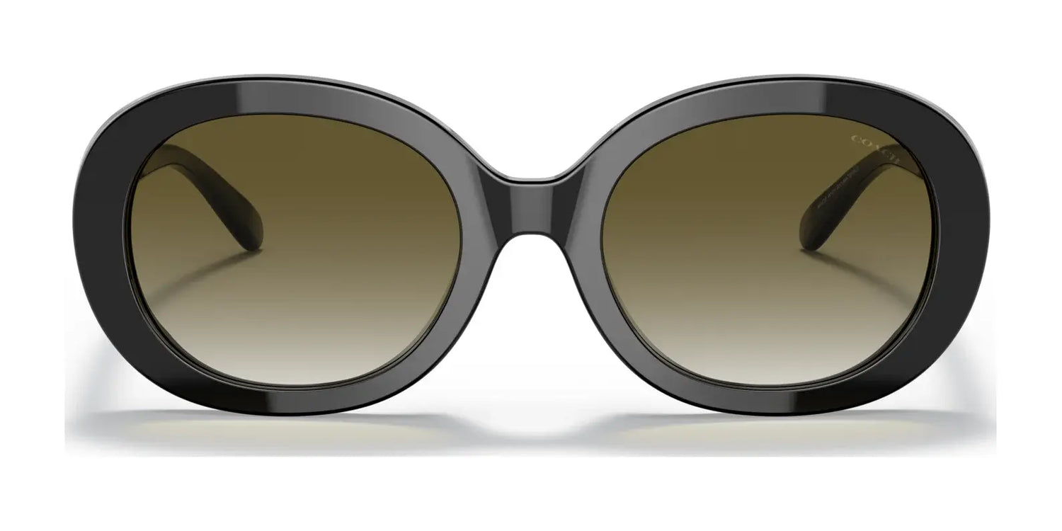 Coach C7992 HC8337U Sunglasses | Size 52 Coach C7992 HC8337U Sunglasses | Size 52