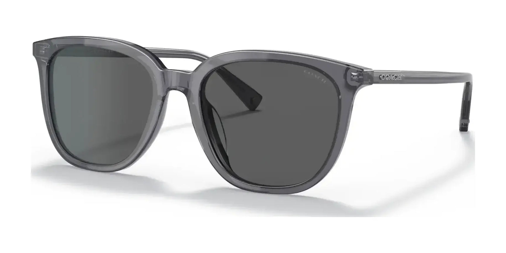 Coach C8006 HC8338U Sunglasses Transparent Dark Grey / Dark Grey Solid Coach C8006 HC8338U Sunglasses Transparent Dark Grey / Dark Grey Solid