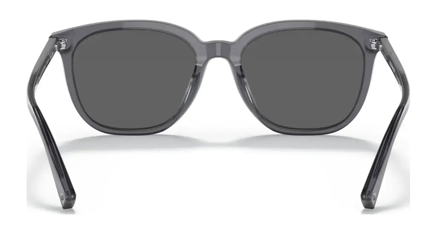 Coach C8006 HC8338U Sunglasses | Size 55 Coach C8006 HC8338U Sunglasses | Size 55