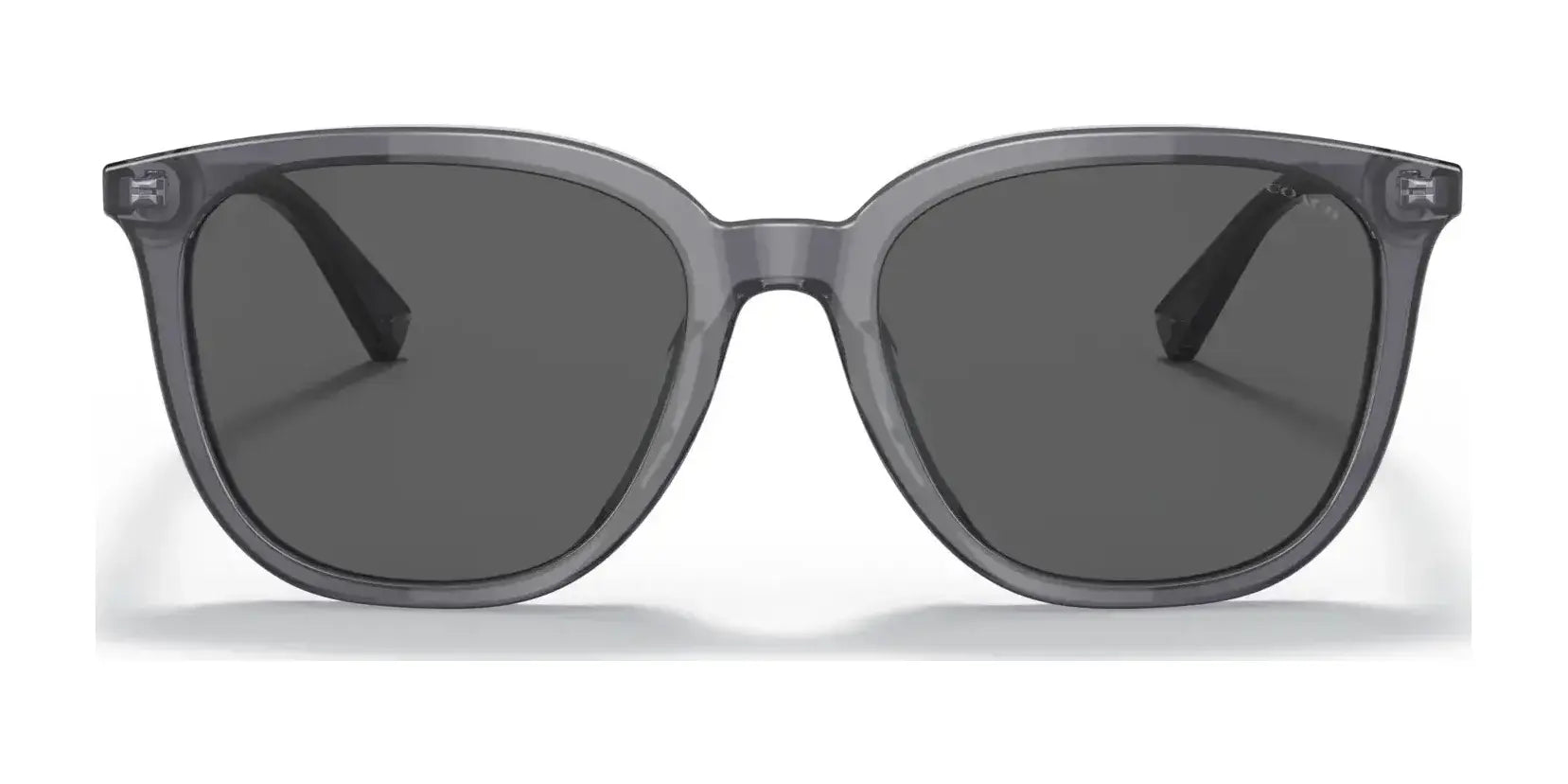 Coach C8006 HC8338U Sunglasses | Size 55 Coach C8006 HC8338U Sunglasses | Size 55