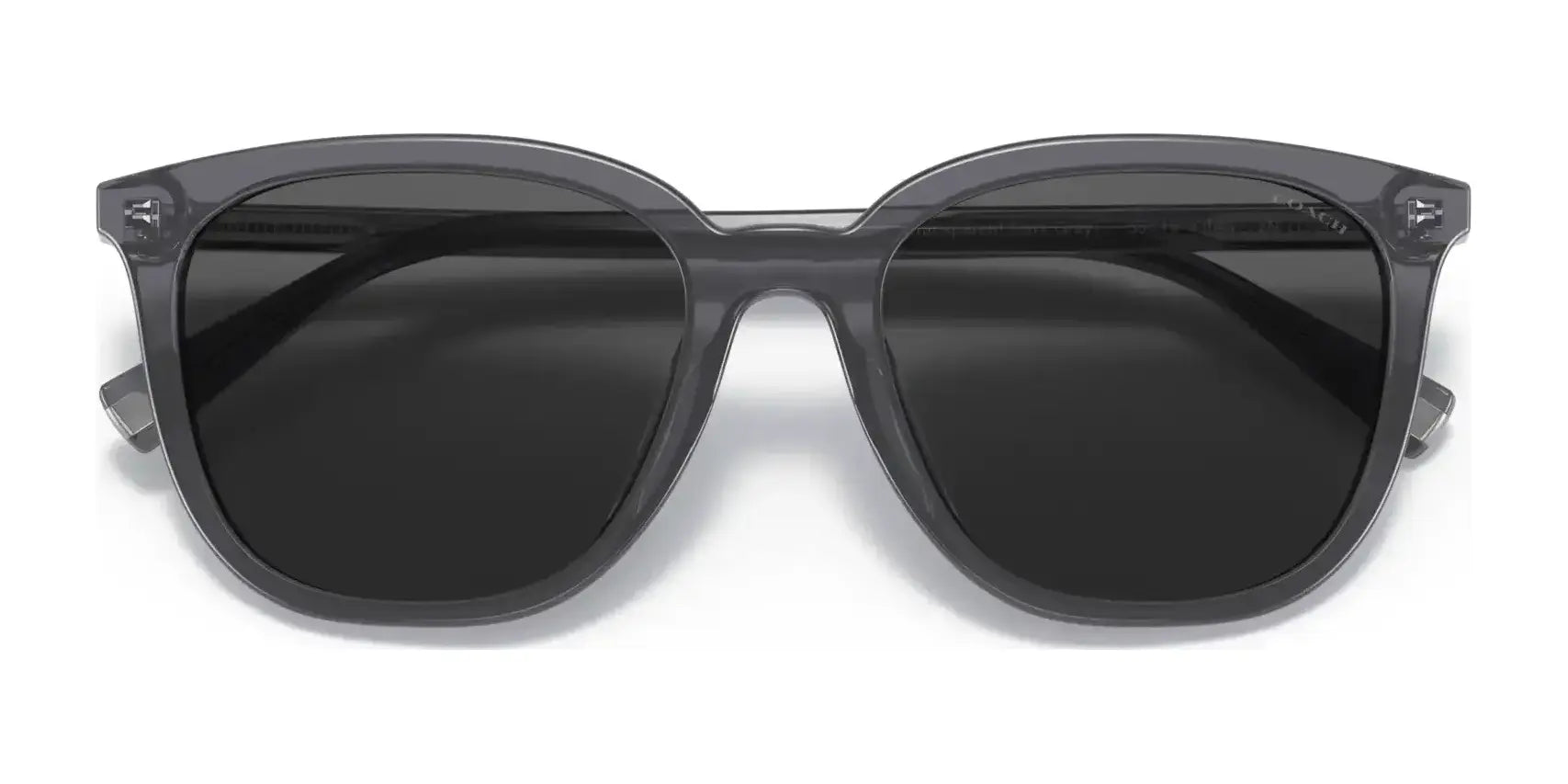 Coach C8006 HC8338U Sunglasses | Size 55 Coach C8006 HC8338U Sunglasses | Size 55