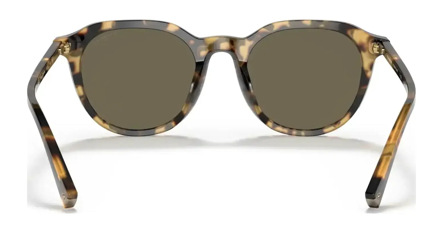Coach C8007 HC8339U Sunglasses | Size 52 Coach C8007 HC8339U Sunglasses | Size 52