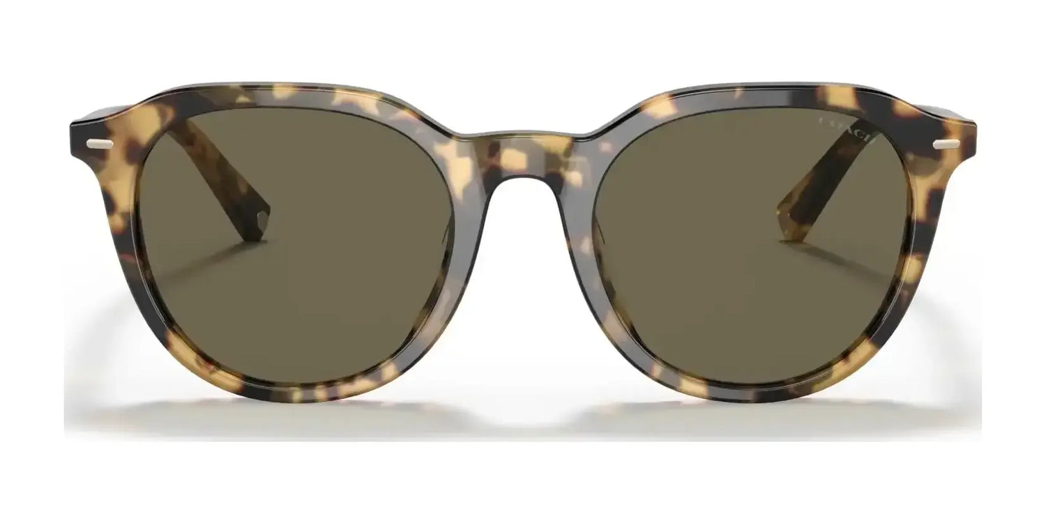 Coach C8007 HC8339U Sunglasses | Size 52 Coach C8007 HC8339U Sunglasses | Size 52