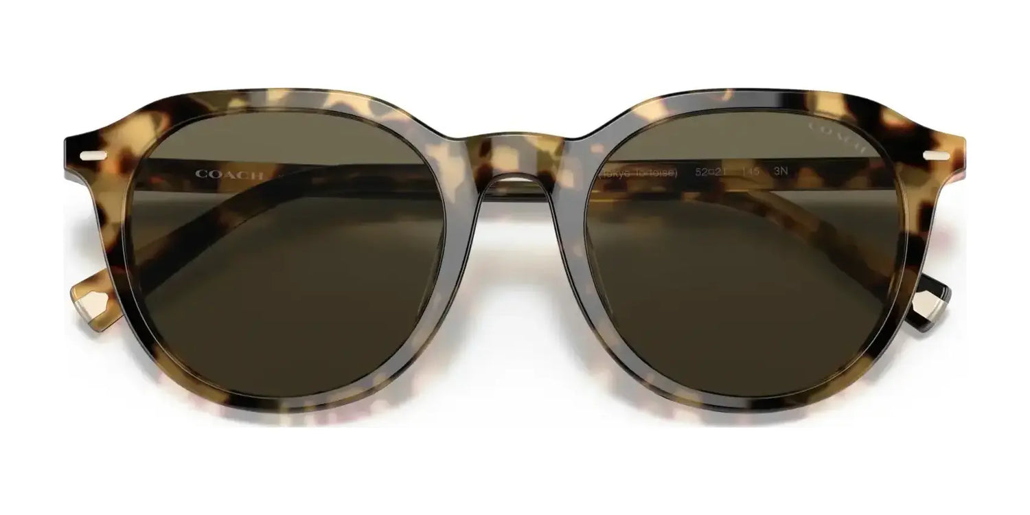 Coach C8007 HC8339U Sunglasses | Size 52 Coach C8007 HC8339U Sunglasses | Size 52