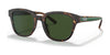 Coach C8003 HC8340U Sunglasses | Size 53 / Matte Dark Tortoise №512071 / Dark Green Solid (3N 9.4%)