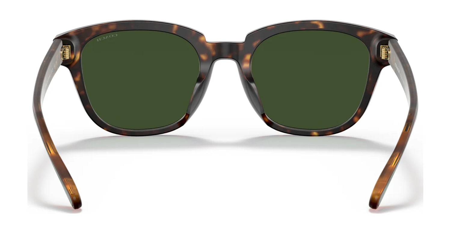 Coach CA578 HC8340U Sunglasses | Size 53 Coach CA578 HC8340U Sunglasses | Size 53