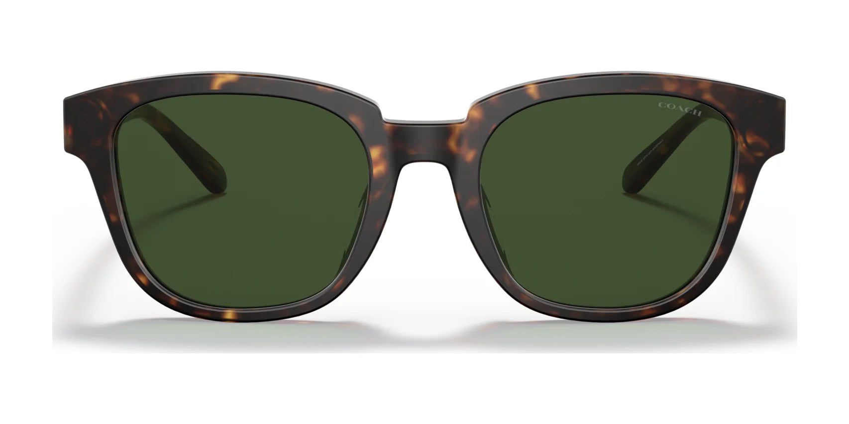 Coach C8003 HC8340U Sunglasses | Size 53 Coach C8003 HC8340U Sunglasses | Size 53