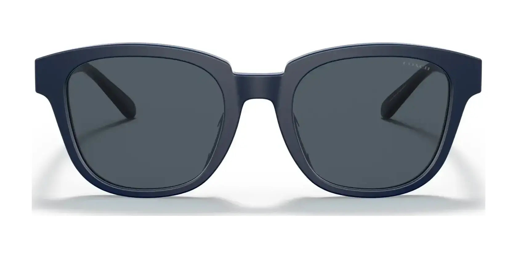 Coach CA578 HC8340U Sunglasses | Size 53 Coach CA578 HC8340U Sunglasses | Size 53