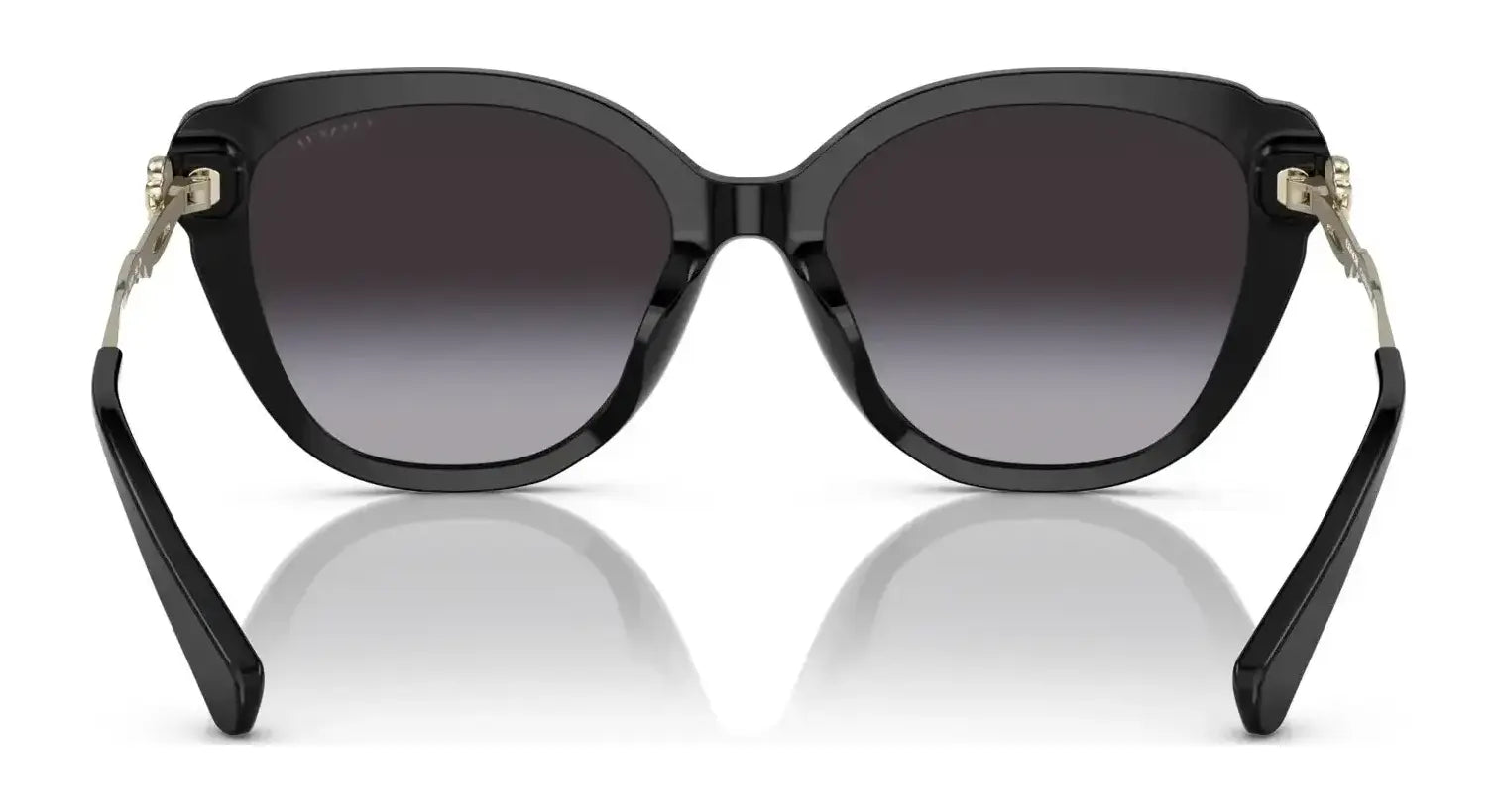 Coach C9199 HC8347BU Sunglasses | Size 55 Coach C9199 HC8347BU Sunglasses | Size 55