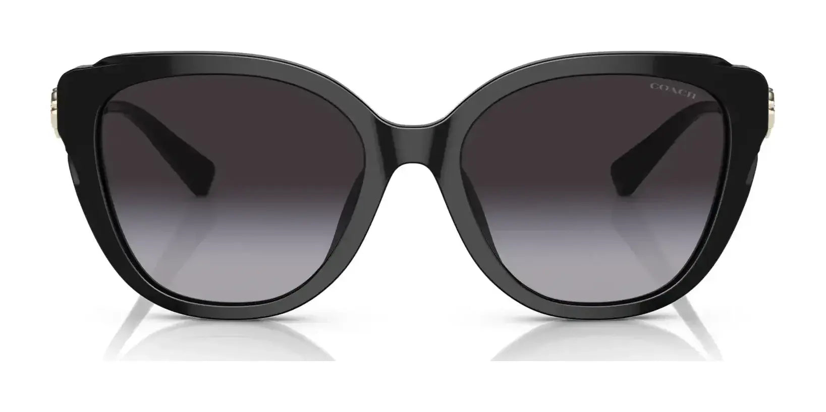 Coach C9199 HC8347BU Sunglasses | Size 55 Coach C9199 HC8347BU Sunglasses | Size 55