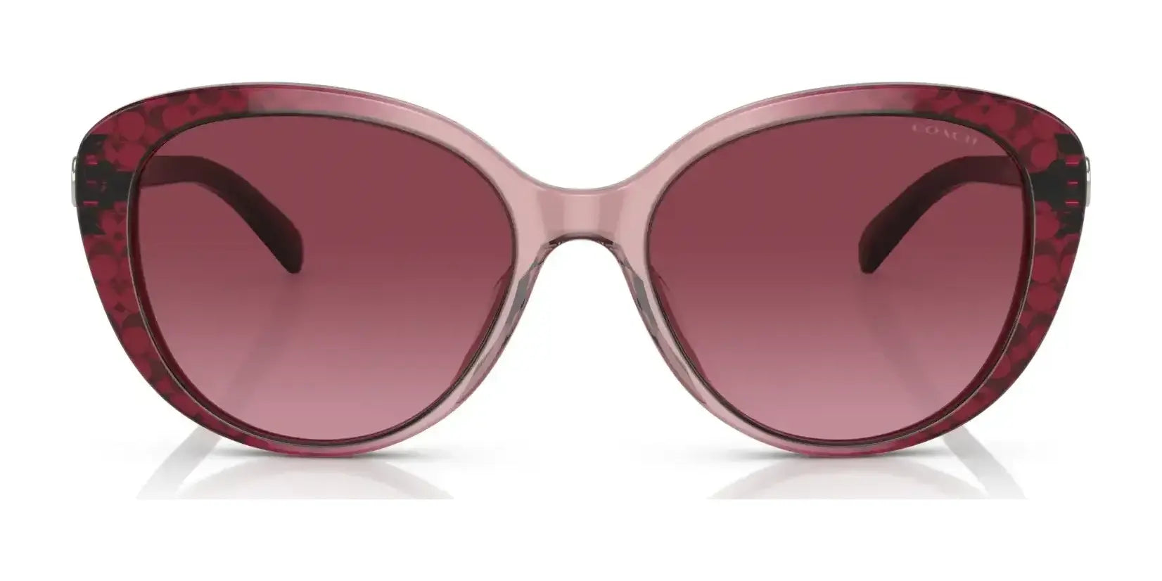 Coach CD479 HC8348U Sunglasses | Size 56 Coach CD479 HC8348U Sunglasses | Size 56