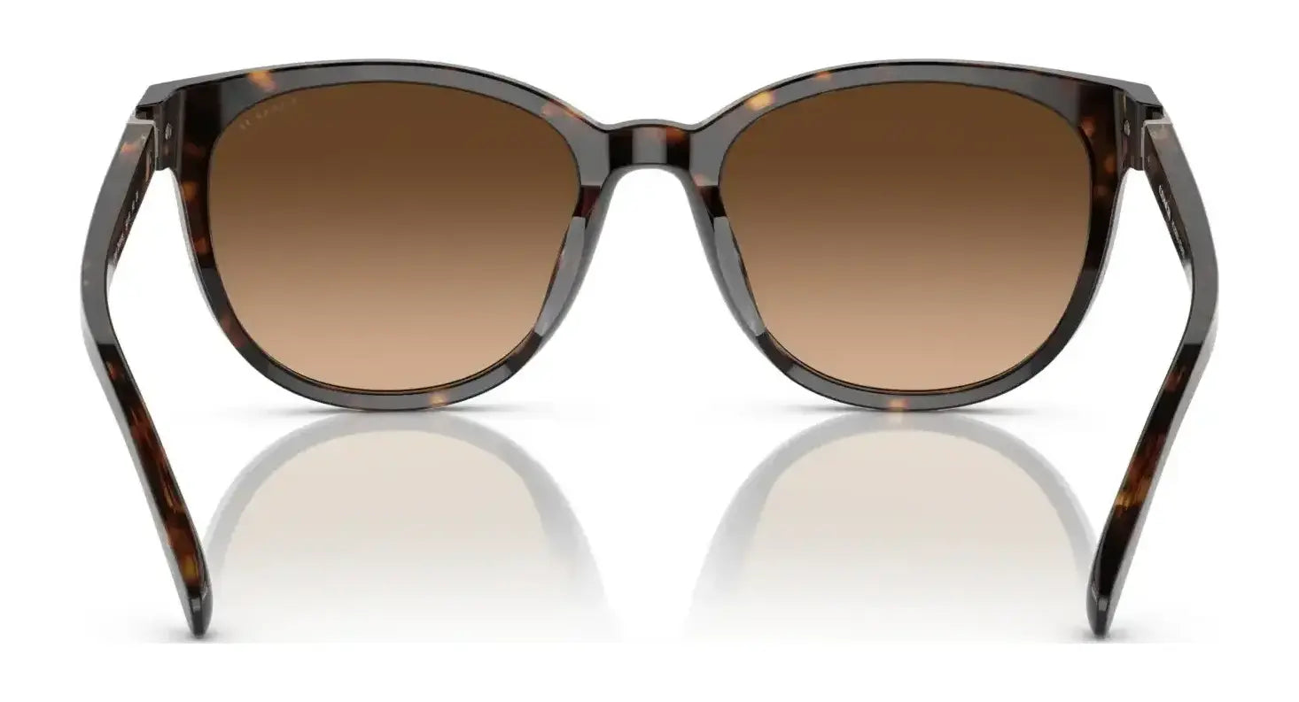 Coach CD478 HC8350U Sunglasses | Size 54 Coach CD478 HC8350U Sunglasses | Size 54