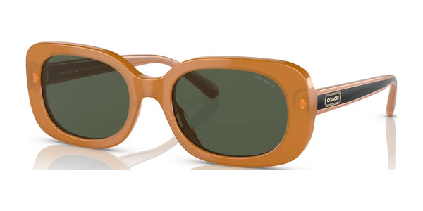 Coach CD868 HC8358F Sunglasses | Size 56 / Milky Amber / Green Solid (2N 19.2%) №571282
