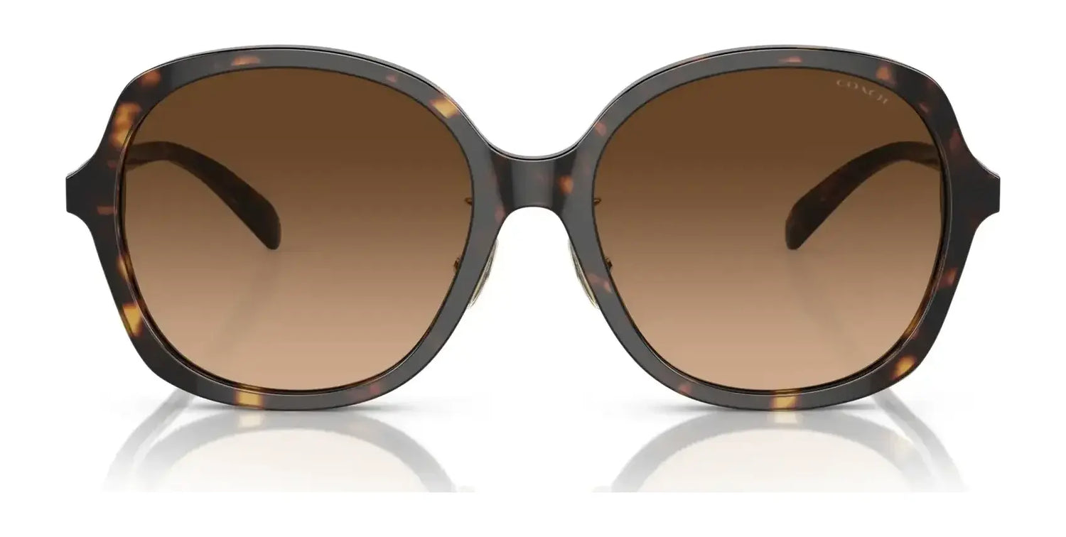 Coach CH610 HC8360F Sunglasses | Size 58 Coach CH610 HC8360F Sunglasses | Size 58