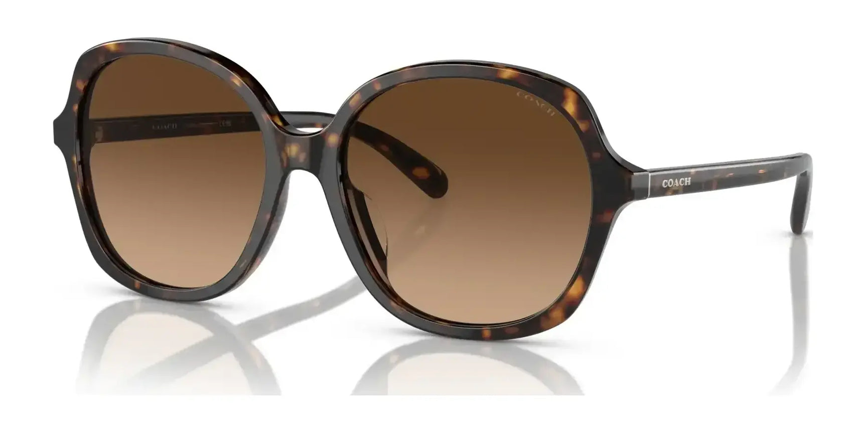 Coach CH557 HC8360U Sunglasses Dark Tortoise / Brown Gradient Coach CH557 HC8360U Sunglasses Dark Tortoise / Brown Gradient