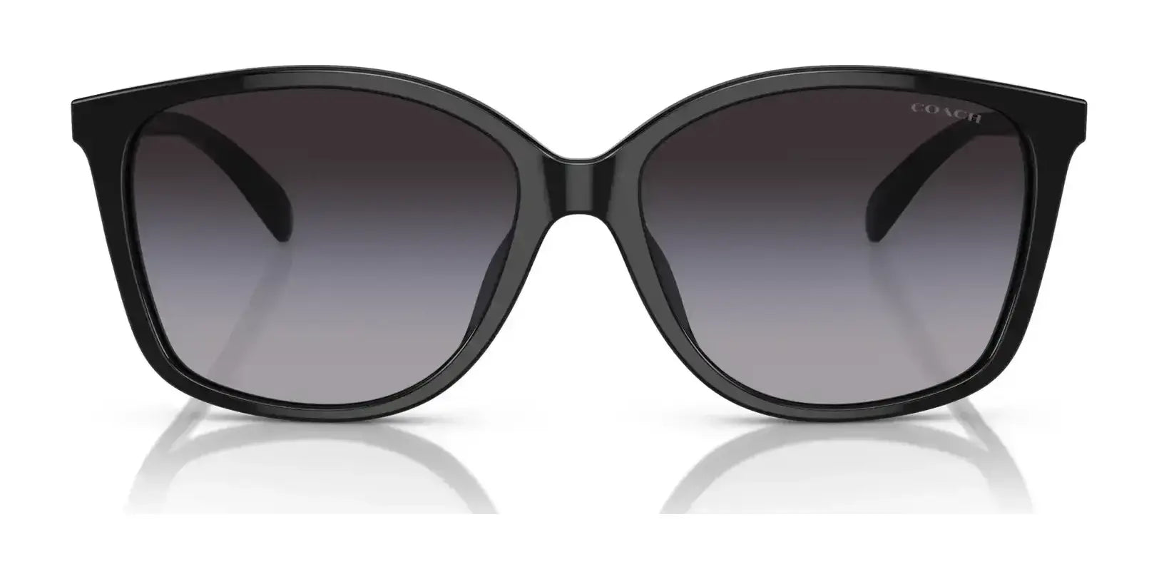 Coach CH558 HC8361U Sunglasses | Size 57 Coach CH558 HC8361U Sunglasses | Size 57