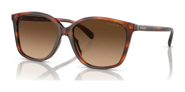 Coach CH558 HC8361U Sunglasses | Size 57 / Caramel Tortoise / Brown Gradient (3N 14.2%) №574174