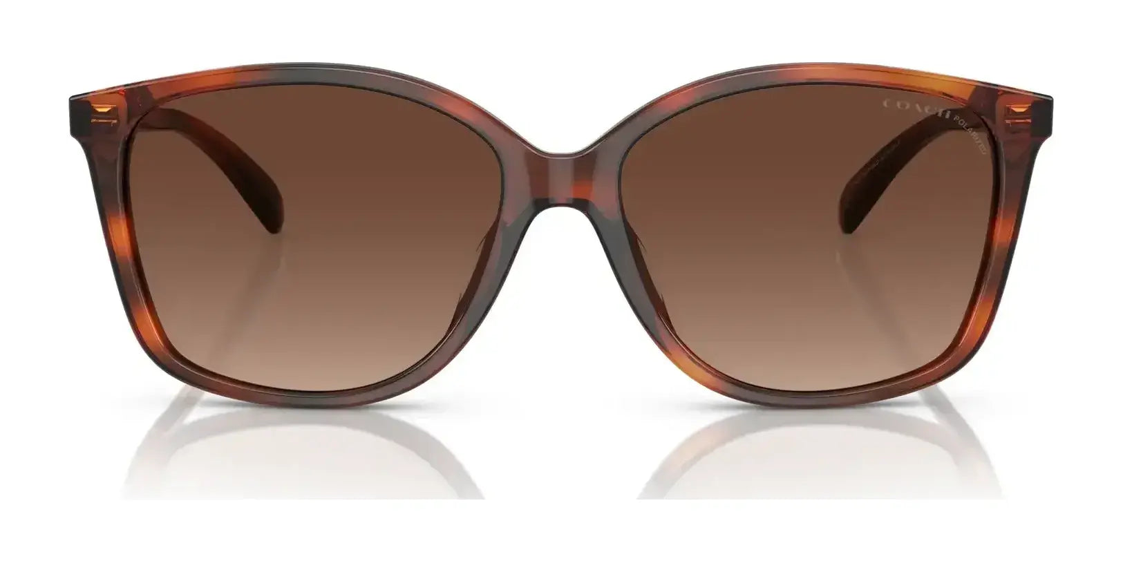 Coach CH558 HC8361U Sunglasses | Size 57 Coach CH558 HC8361U Sunglasses | Size 57