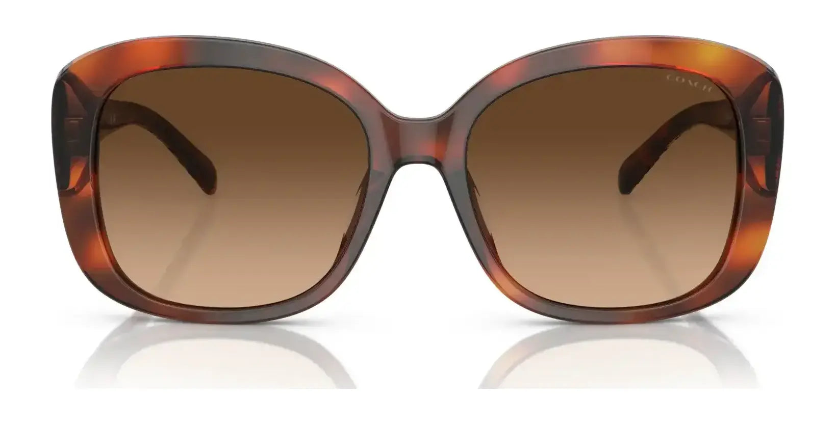 Coach CH564 HC8363U Sunglasses | Size 56 Coach CH564 HC8363U Sunglasses | Size 56