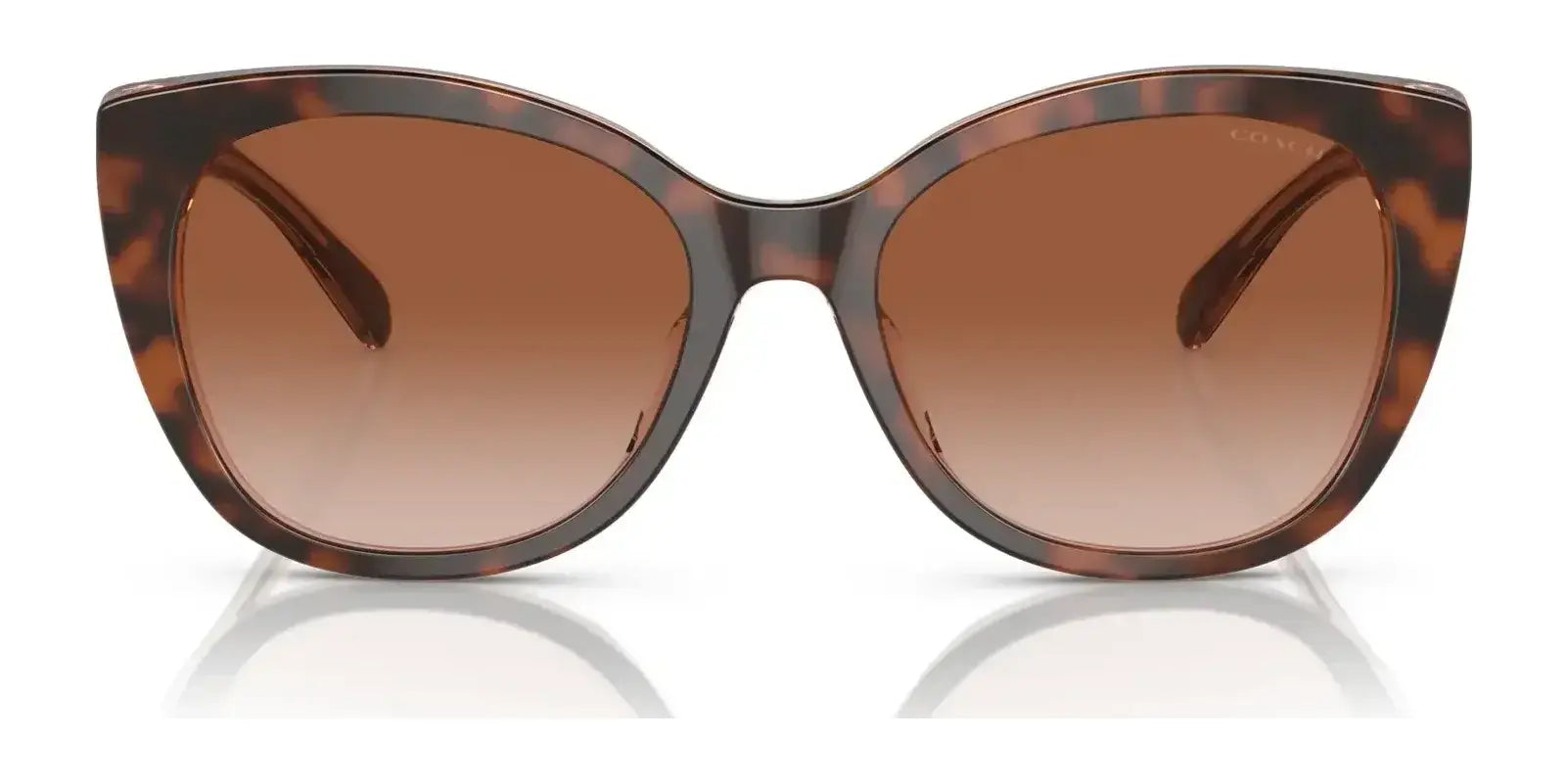 Coach CH566 HC8365U Sunglasses | Size 55 Coach CH566 HC8365U Sunglasses | Size 55