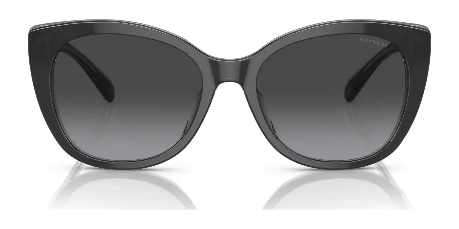 Coach CH566 HC8365U Sunglasses | Size 55 Coach CH566 HC8365U Sunglasses | Size 55