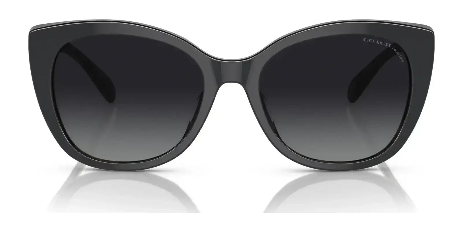 Coach CH566 HC8365U Sunglasses | Size 55 Coach CH566 HC8365U Sunglasses | Size 55