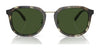 Coach CH577 HC8366 Sunglasses | Size 54 / Sage Tortoise / Green Solid (3N 9.4%) №575571