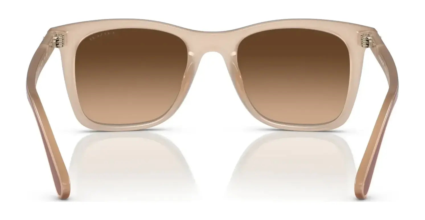 Coach CK463 HC8374F Sunglasses | Size 54 Coach CK463 HC8374F Sunglasses | Size 54