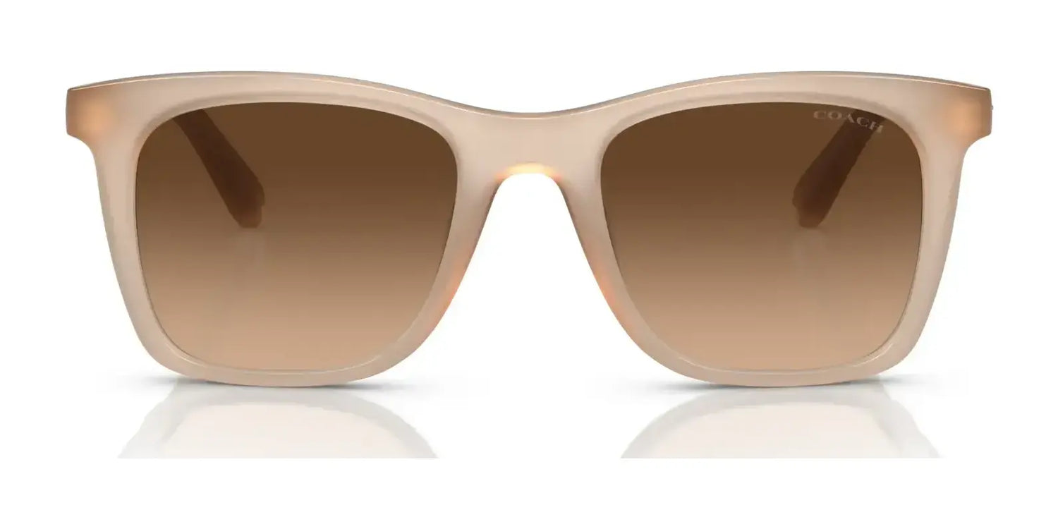 Coach CK463 HC8374F Sunglasses | Size 54 Coach CK463 HC8374F Sunglasses | Size 54