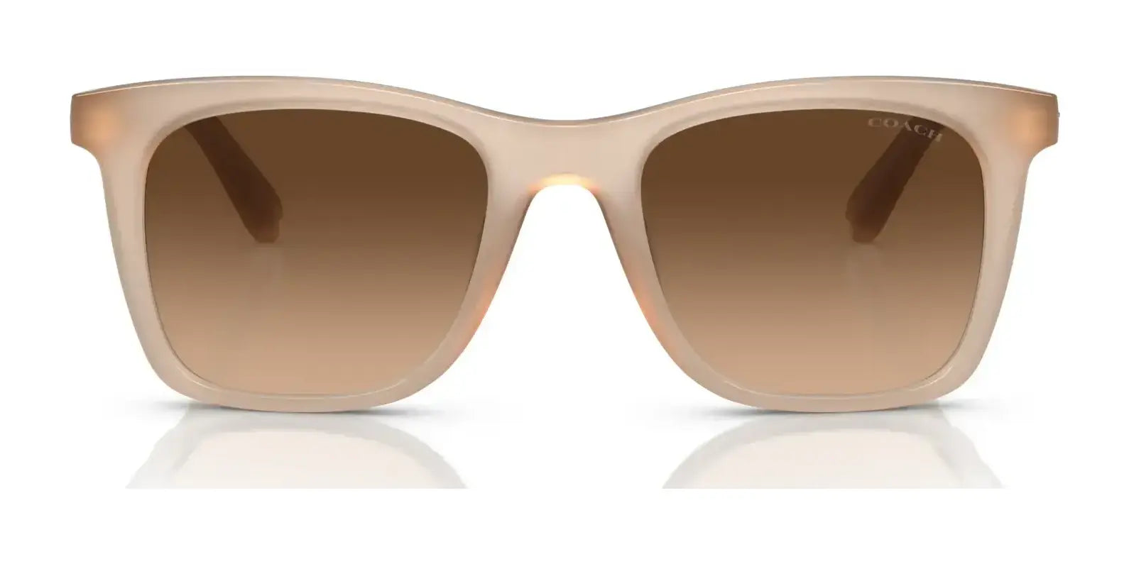 Coach CK463 HC8374F Sunglasses | Size 54 Coach CK463 HC8374F Sunglasses | Size 54