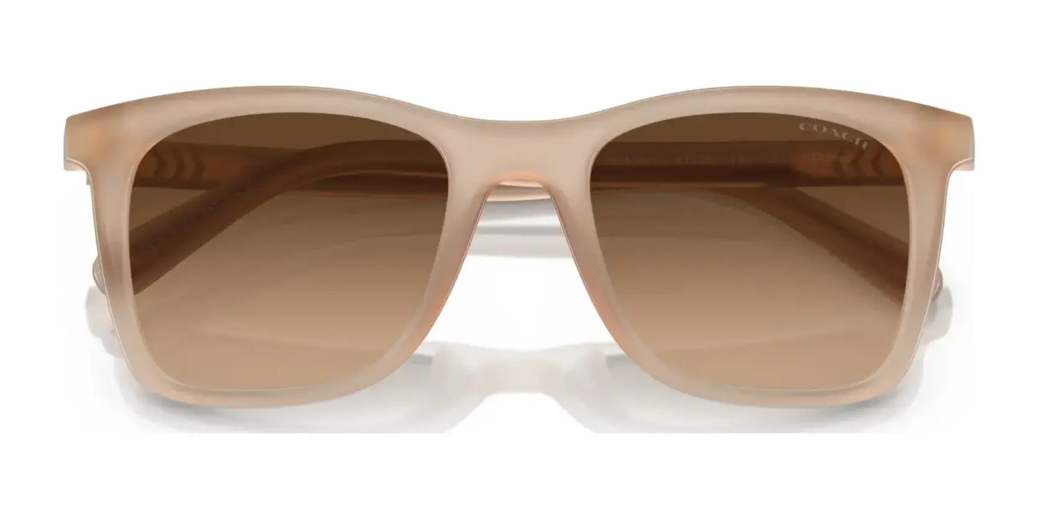 Coach CH561 HC8374U Sunglasses | Size 51 Coach CH561 HC8374U Sunglasses | Size 51