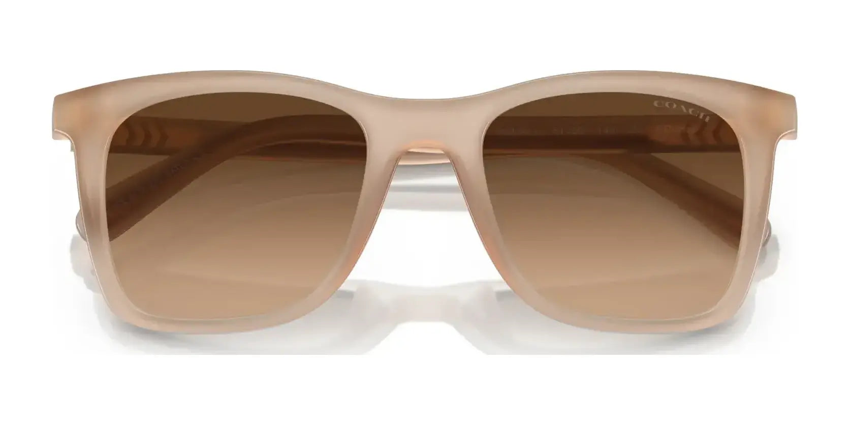 Coach CH561 HC8374U Sunglasses | Size 51 Coach CH561 HC8374U Sunglasses | Size 51