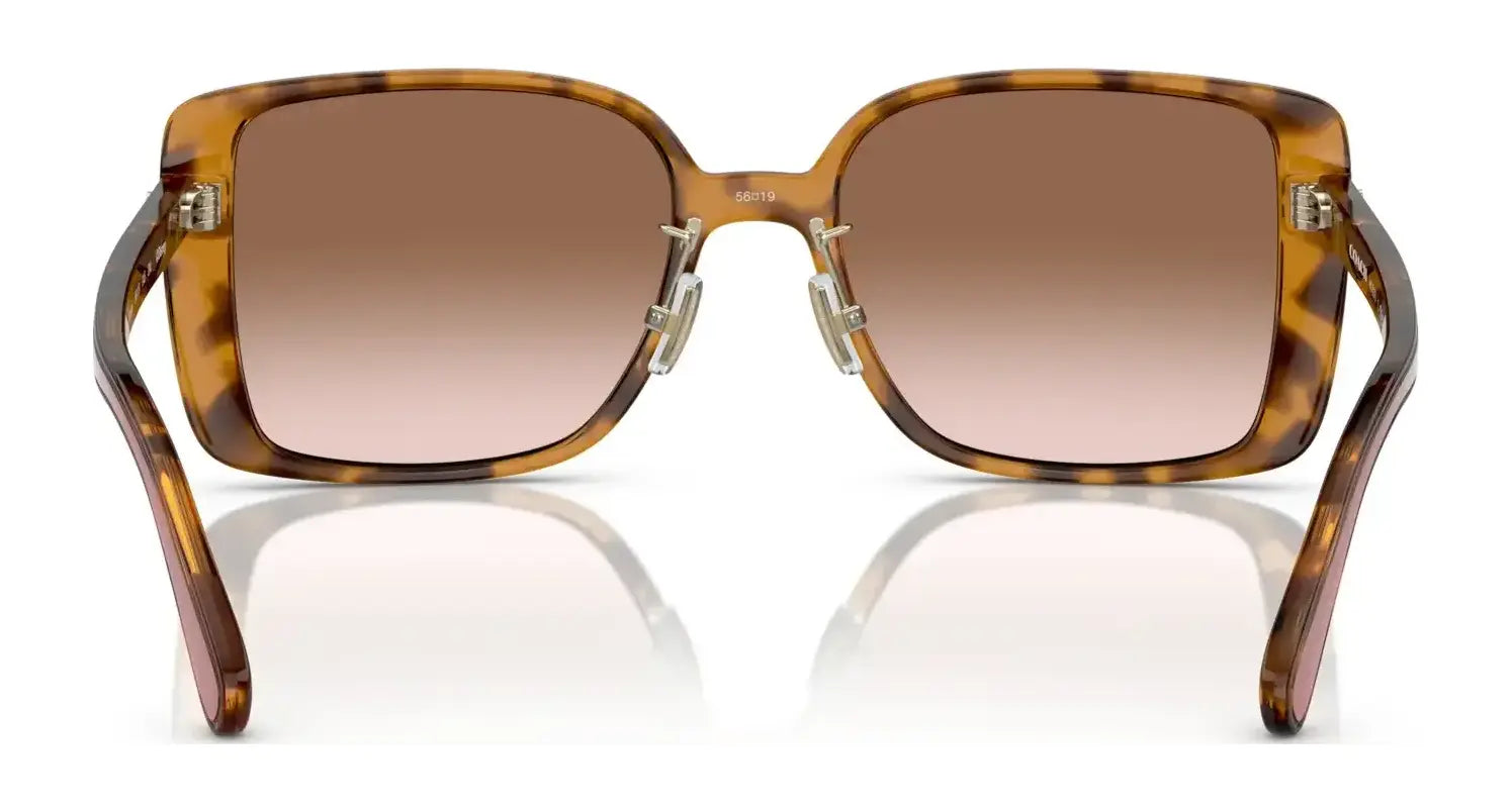 Coach CH562 HC8375 Sunglasses | Size 56 Coach CH562 HC8375 Sunglasses | Size 56