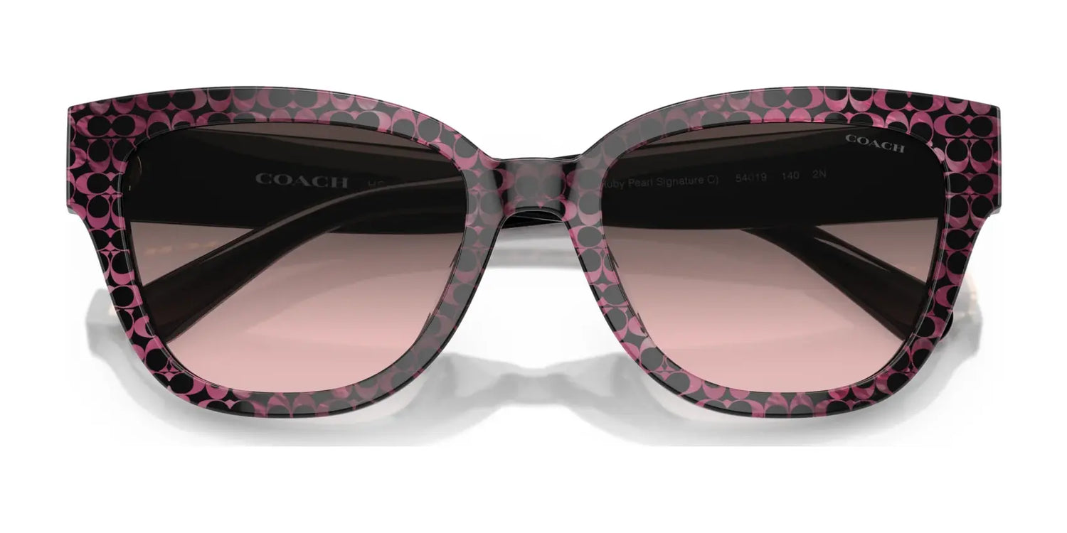 Coach CL920 HC8379U Sunglasses | Size 54 Coach CL920 HC8379U Sunglasses | Size 54