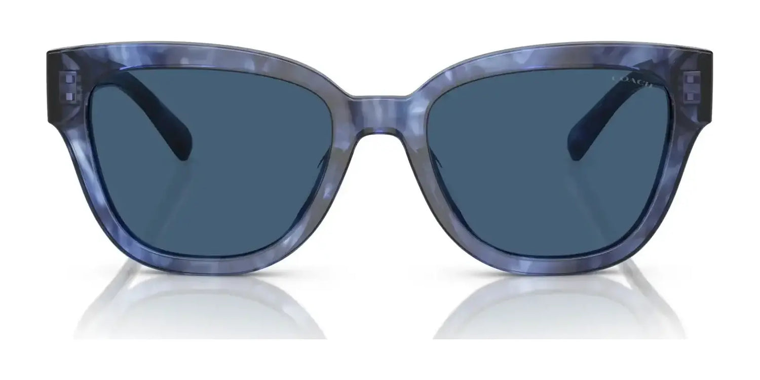 Coach CL920 HC8379U Sunglasses | Size 54 Coach CL920 HC8379U Sunglasses | Size 54