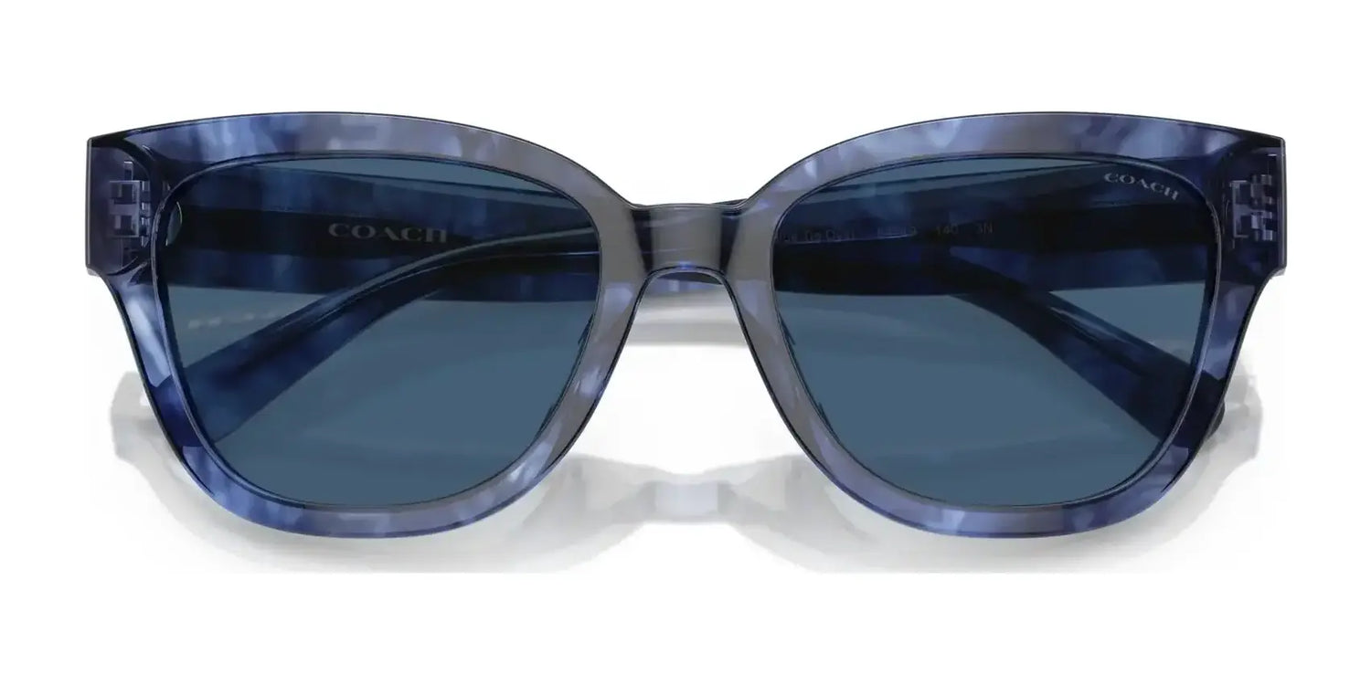 Coach CL920 HC8379U Sunglasses | Size 54 Coach CL920 HC8379U Sunglasses | Size 54