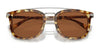 Coach CL913 HC8382 Sunglasses | Size 53 / Honey Tortoise / Brown Solid (3N 15.3%) №504573